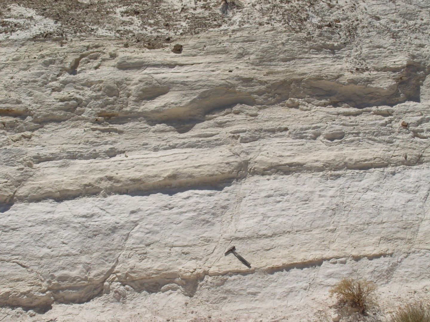 Close up of thick diatomite exposure above valley floor