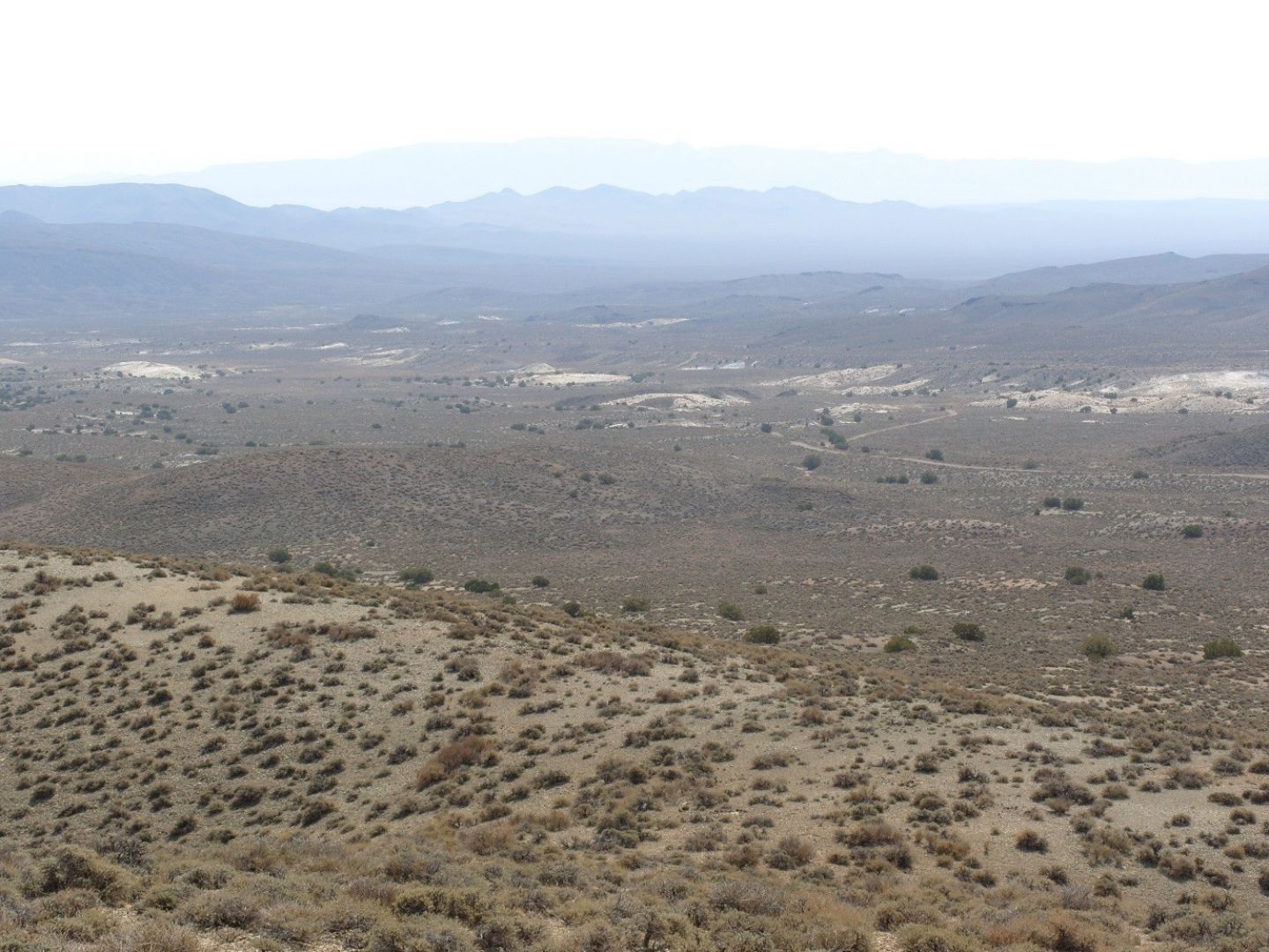 Extensive outcrops of diatomite (white areas) on the County Line claim block