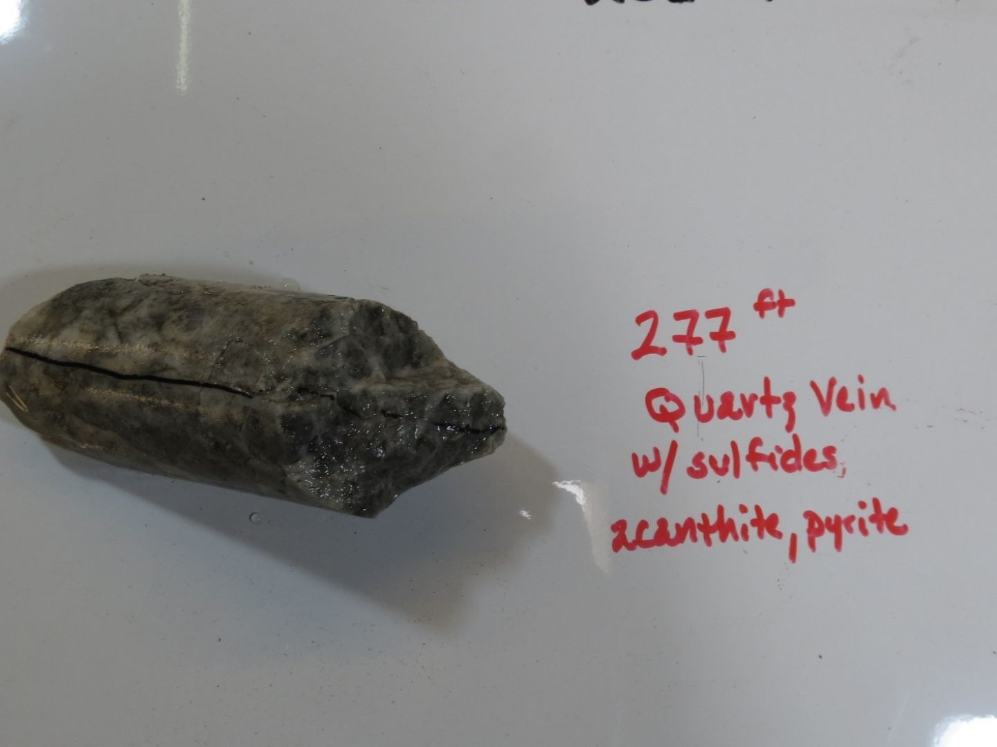 Sulphide minerals in quartz, drill sample close up, Clayton Silver-Gold Project, Nevada
