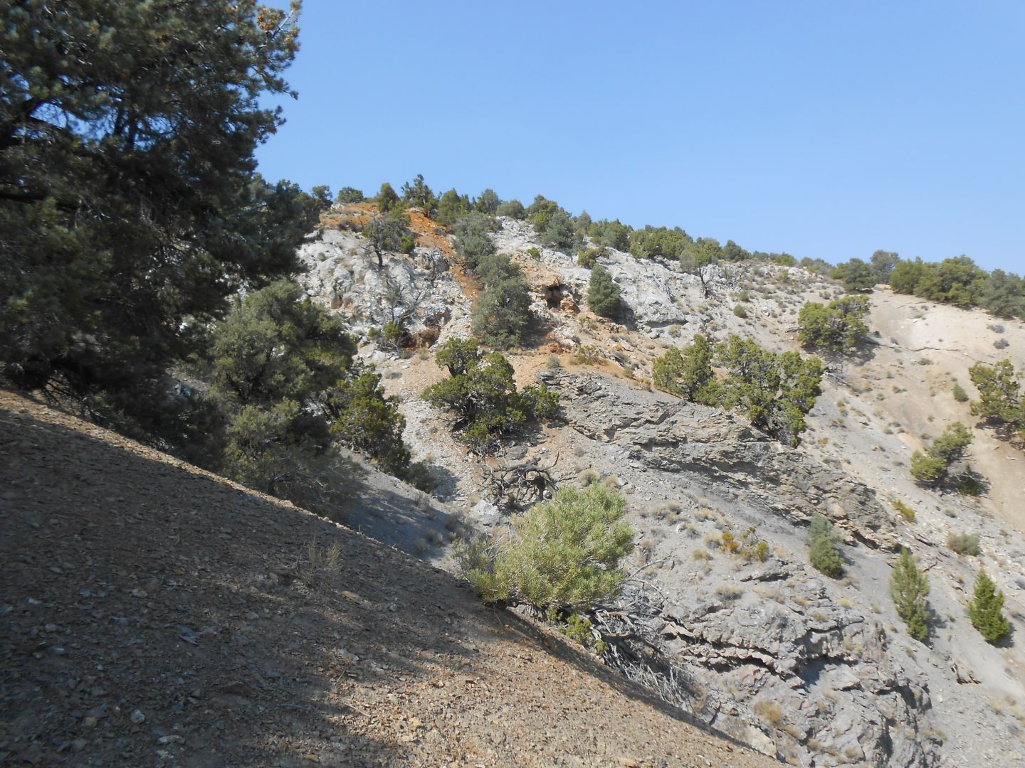 Altered Limestone with Gossans East Side of Reese Ridge