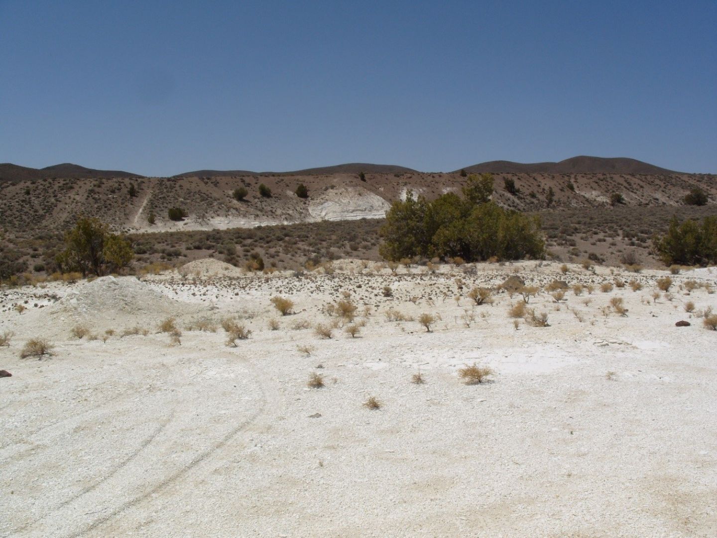 Thick scarp of diatomite above valley floor. Flat top behind scarp is extensive with diatomite beneath thin soil cover