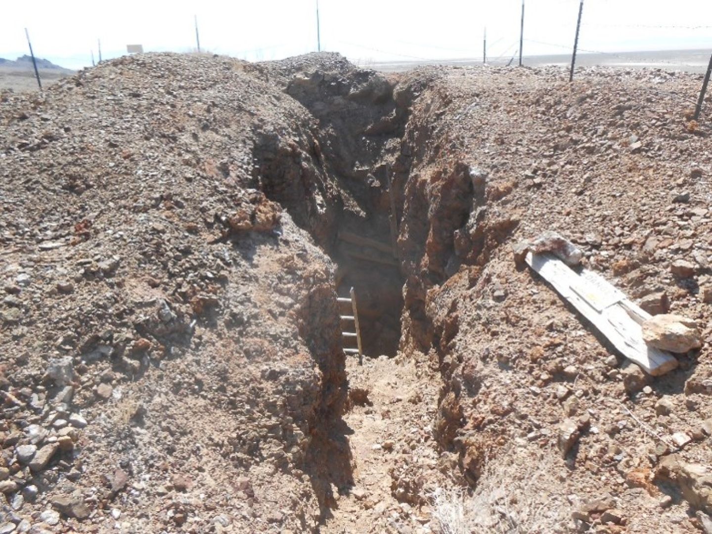 Lake Project - Prospecting shaft in silicified limestone and skarn