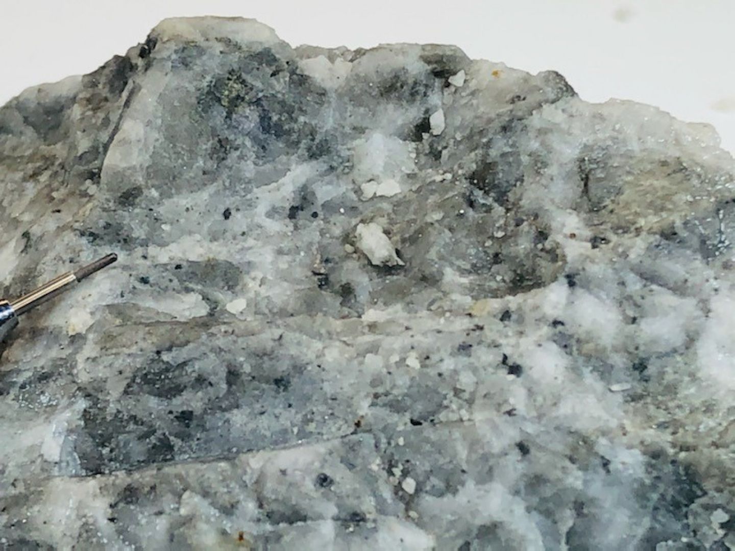 Sulphide minerals in quartz, drill sample close up, Clayton Silver-Gold Project, Nevada