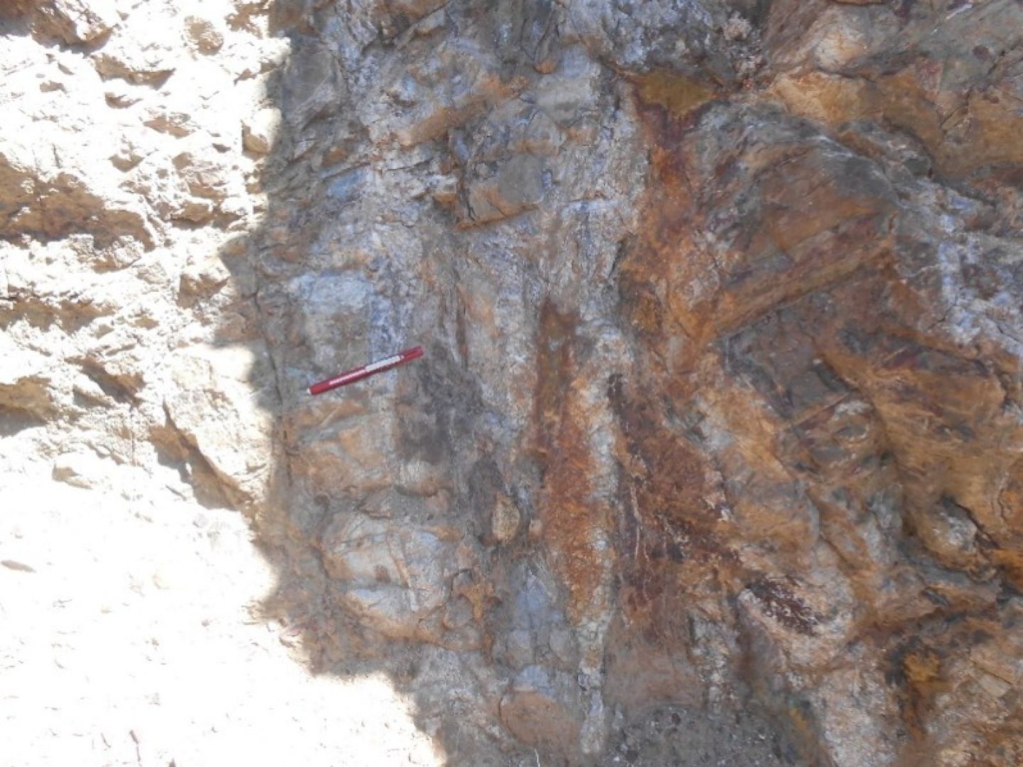 Lake Project - Rib of silicified limestone in contact with skarn