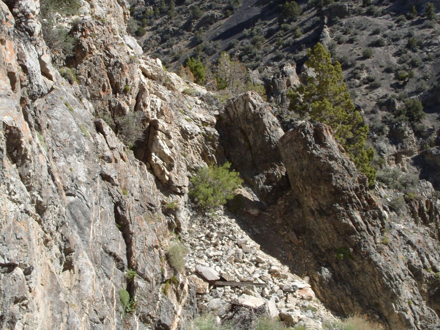 Open Workings on Lincoln Vein at Bay State Mine