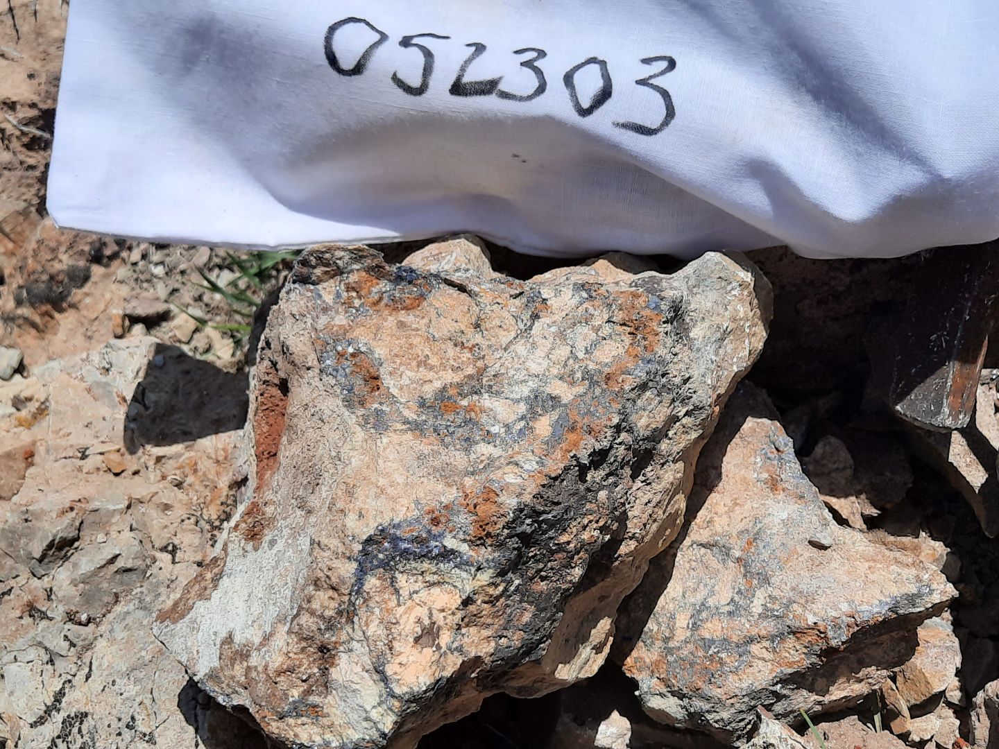 Reese Ridge - Sample 52303 13.6% zinc, 12.8% lead, 146ppm silver