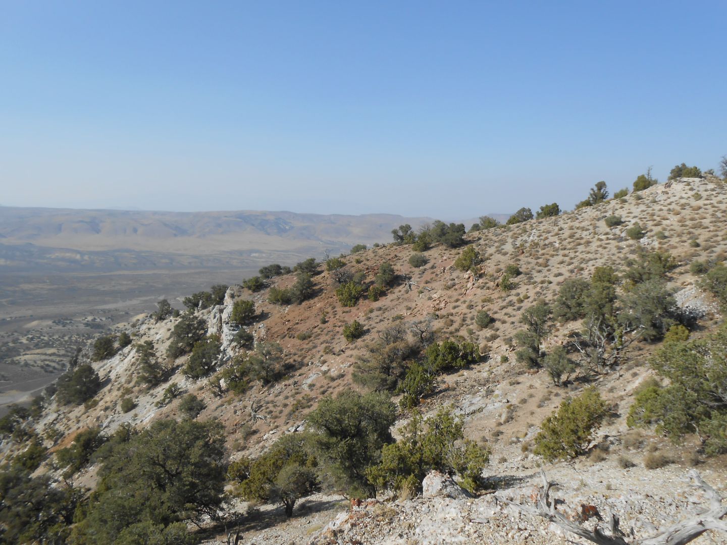 Looking north on west side of Reese Ridge towards LR5 - iron stained and altered limestone