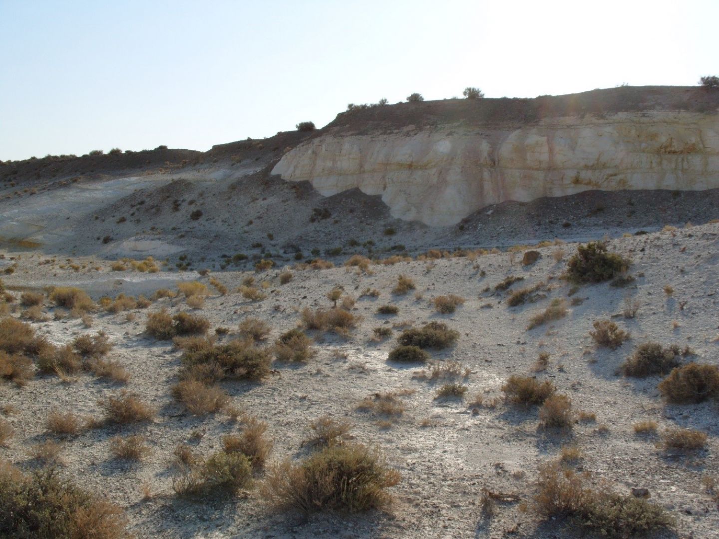 Old Quarry Site